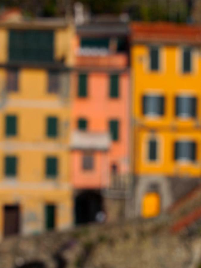 Agave * Riomaggiore